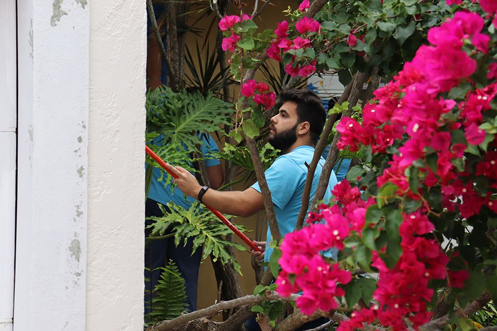 Photos of volunteers painting houses at NET event