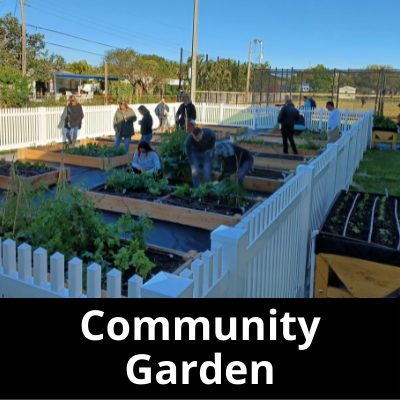 Community Garden Click to Learn More