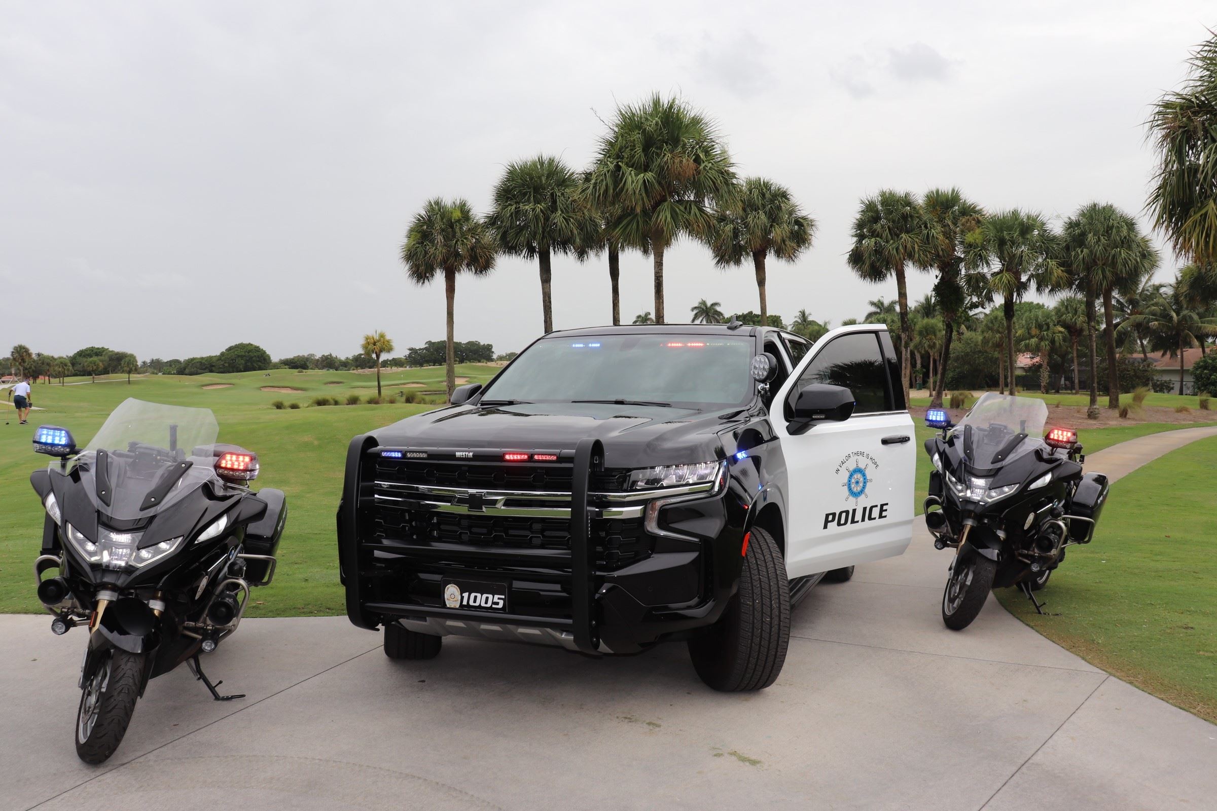 Cars on Golfcourse 2024